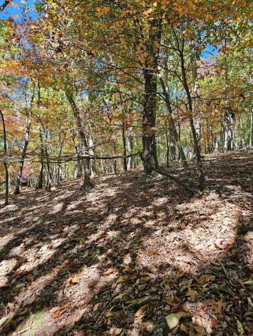 383 Teaberry Lane Big Canoe GA 30143