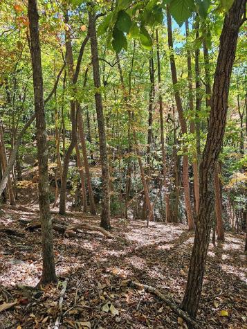 383 Teaberry Lane Big Canoe GA 30143