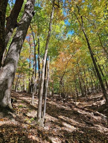 383 Teaberry Lane Big Canoe GA 30143