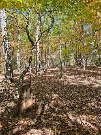 383 Teaberry Lane Big Canoe GA 30143