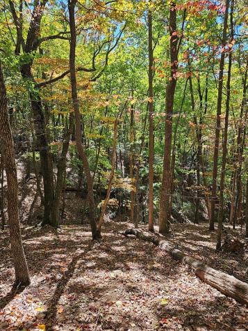 383 Teaberry Lane Big Canoe GA 30143