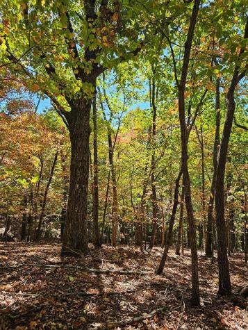 383 Teaberry Lane Big Canoe GA 30143