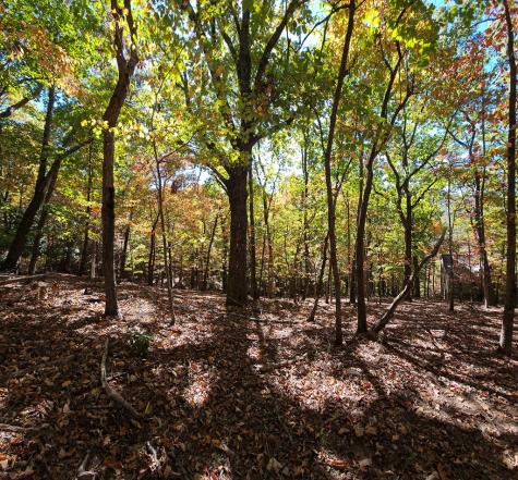 383 Teaberry Lane Big Canoe GA 30143