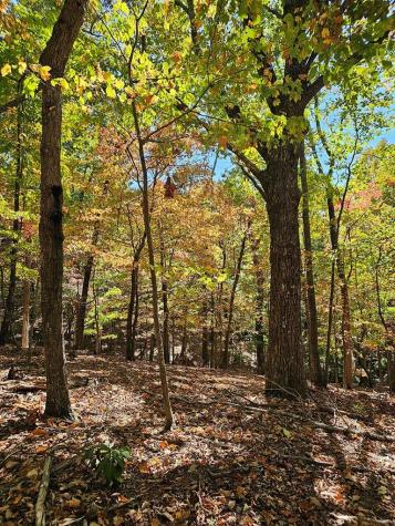 383 Teaberry Lane Big Canoe GA 30143