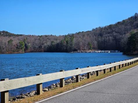 383 Teaberry Lane Big Canoe GA 30143