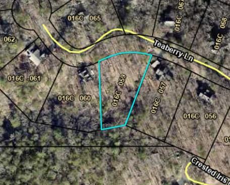 383 Teaberry Lane Big Canoe GA 30143