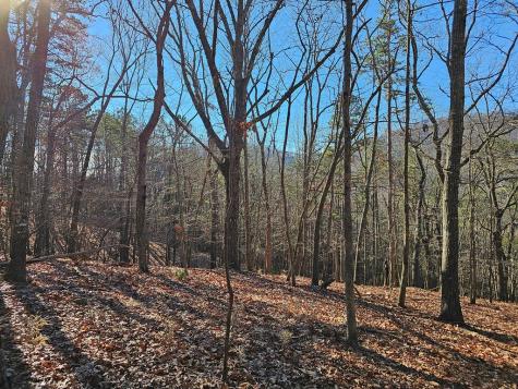 383 Teaberry Lane Big Canoe GA 30143