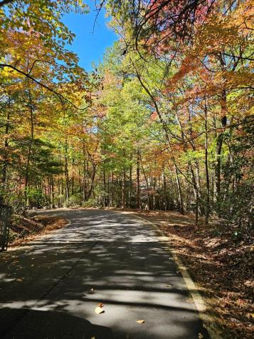 383 Teaberry Lane Big Canoe GA 30143