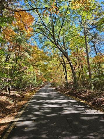 383 Teaberry Lane Big Canoe GA 30143