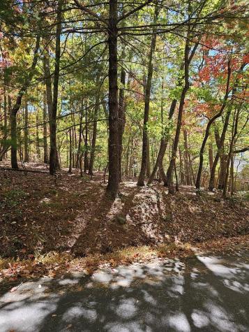 383 Teaberry Lane Big Canoe GA 30143