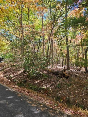 383 Teaberry Lane Big Canoe GA 30143