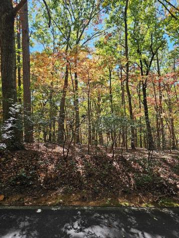 383 Teaberry Lane Big Canoe GA 30143