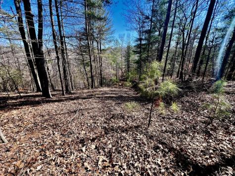 113 Beech Tree Drive Ellijay GA 30540