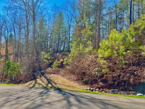 113 Beech Tree Drive Ellijay GA 30540