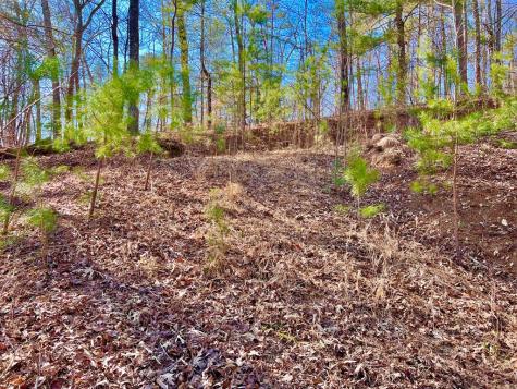 113 Beech Tree Drive Ellijay GA 30540