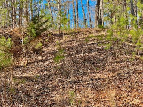 113 Beech Tree Drive Ellijay GA 30540