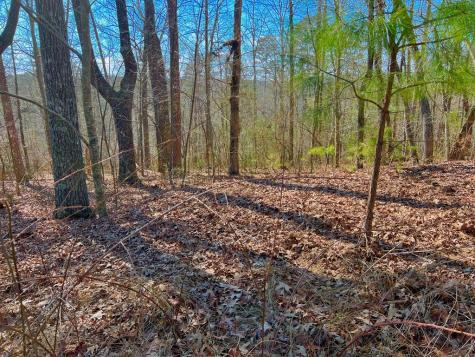 113 Beech Tree Drive Ellijay GA 30540