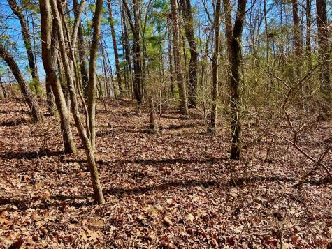 113 Beech Tree Drive Ellijay GA 30540