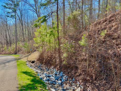 113 Beech Tree Drive Ellijay GA 30540