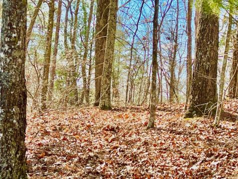 113 Beech Tree Drive Ellijay GA 30540