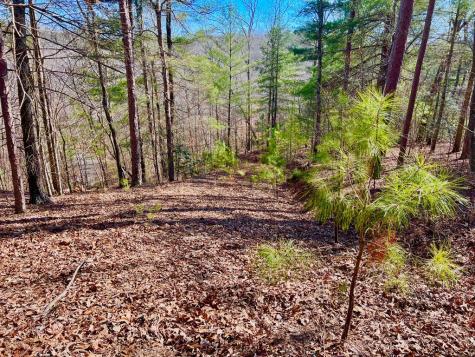 113 Beech Tree Drive Ellijay GA 30540