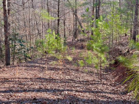 113 Beech Tree Drive Ellijay GA 30540