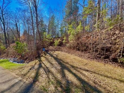 113 Beech Tree Drive Ellijay GA 30540