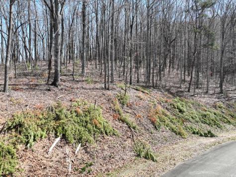 180 Trailwood Drive Ellijay GA 30536