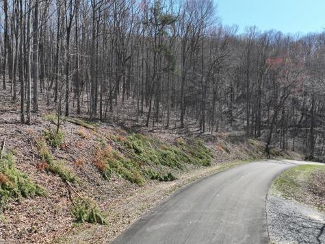 180 Trailwood Drive Ellijay GA 30536