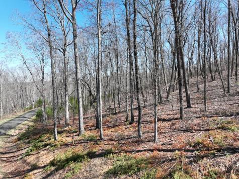 180 Trailwood Drive Ellijay GA 30536