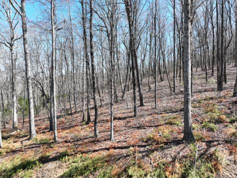 180 Trailwood Drive Ellijay GA 30536