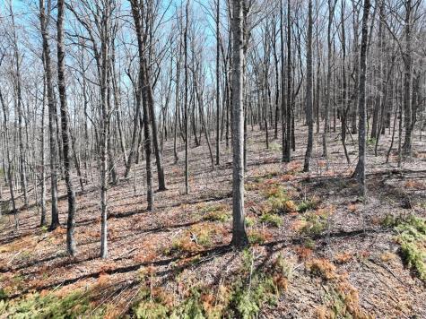 180 Trailwood Drive Ellijay GA 30536