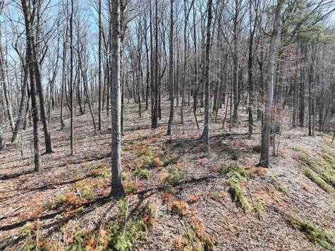 180 Trailwood Drive Ellijay GA 30536