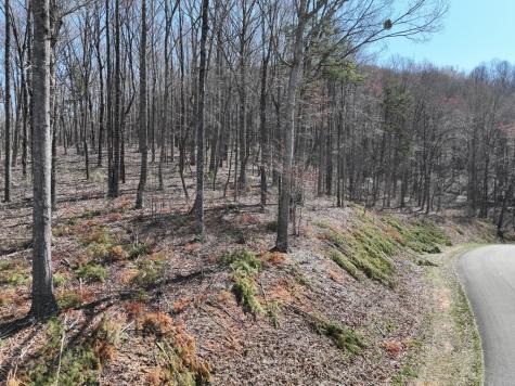 180 Trailwood Drive Ellijay GA 30536