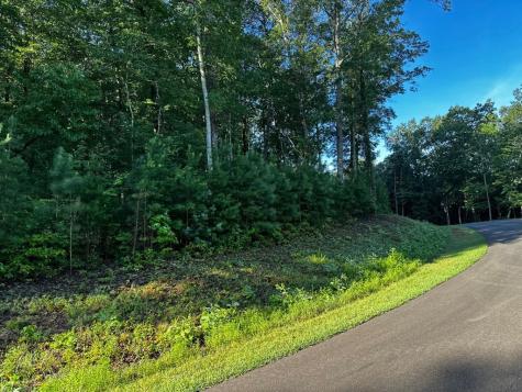 180 Trailwood Drive Ellijay GA 30536