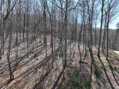 180 Trailwood Drive Ellijay GA 30536