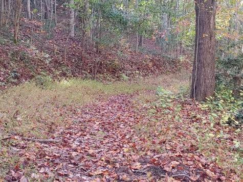 0 Kaleb Trail Mineral Bluff GA 30559