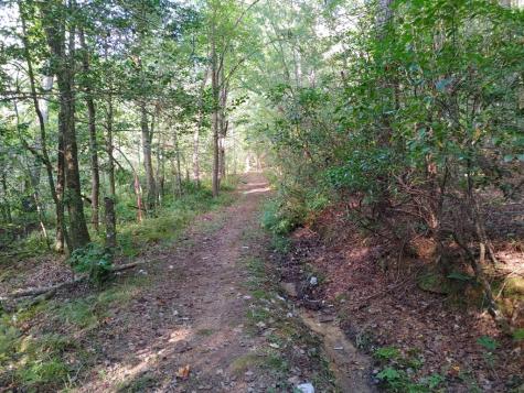 0 Kaleb Trail Mineral Bluff GA 30559