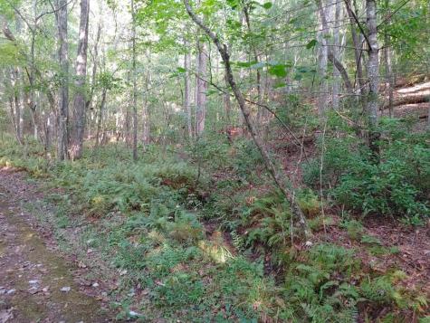 0 Kaleb Trail Mineral Bluff GA 30559