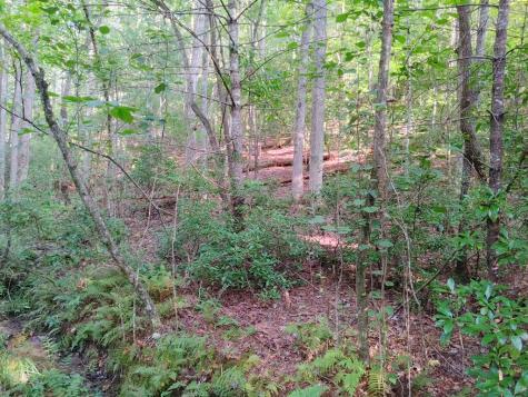 0 Kaleb Trail Mineral Bluff GA 30559