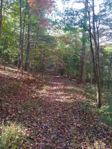 0 Kaleb Trail Mineral Bluff GA 30559