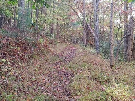 0 Kaleb Trail Mineral Bluff GA 30559