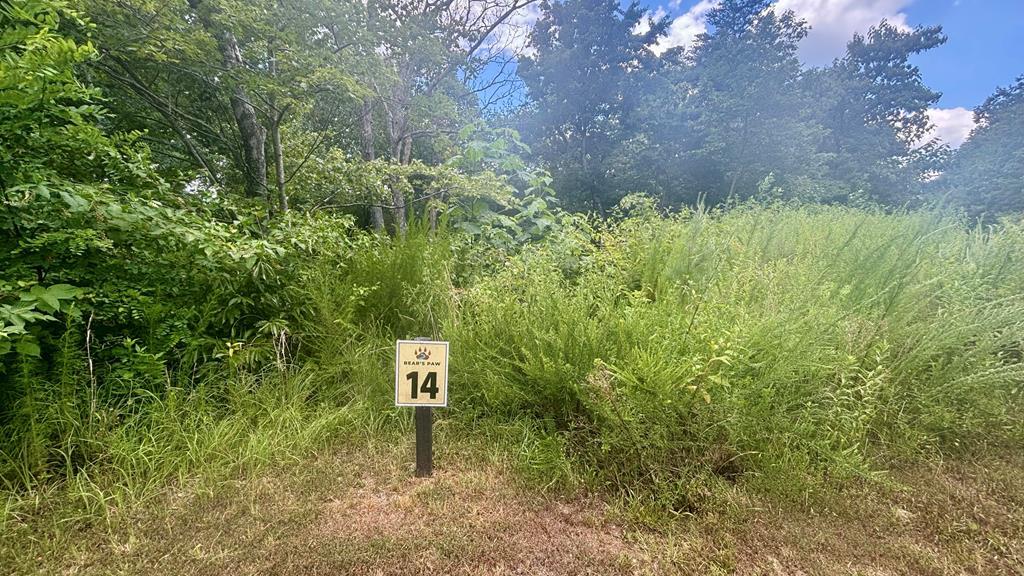 260 Running Bear Lane Ellijay GA 30536