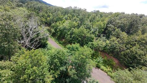 260 Running Bear Lane Ellijay GA 30536