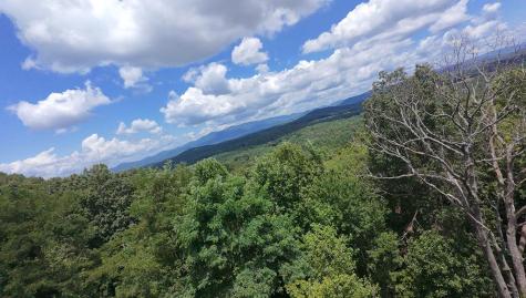 260 Running Bear Lane Ellijay GA 30536