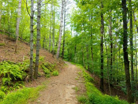 0 Smith Hollow Drive Murphy NC 28906