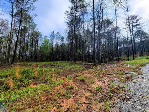 191 Mountaingate Way Ellijay GA 30536