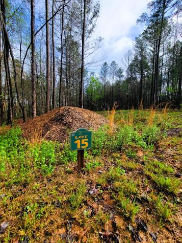 191 Mountaingate Way Ellijay GA 30536
