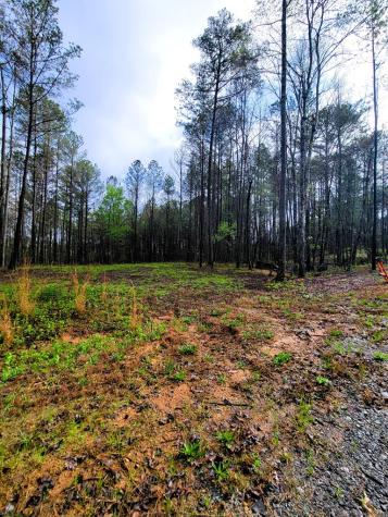 191 Mountaingate Way Ellijay GA 30536