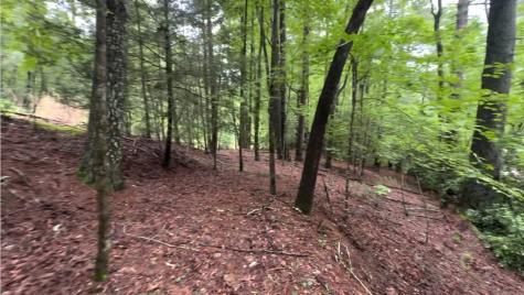 940 Fir Lane Ellijay GA 30540